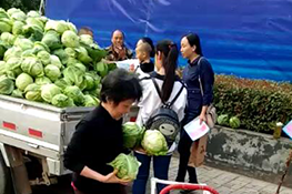 小区门口献爱心免费发菜